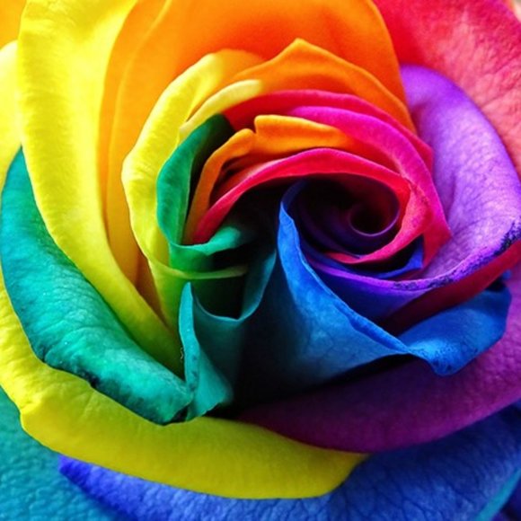 Meet your Posher, Milena - Picture 1 of 1